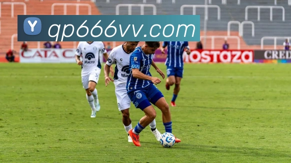 App 示例图